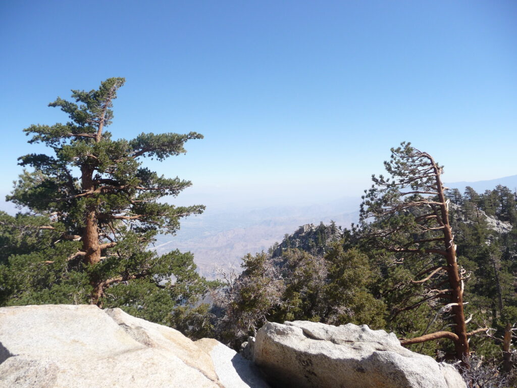 Palm Springs Aerial Tramway gallery image 5