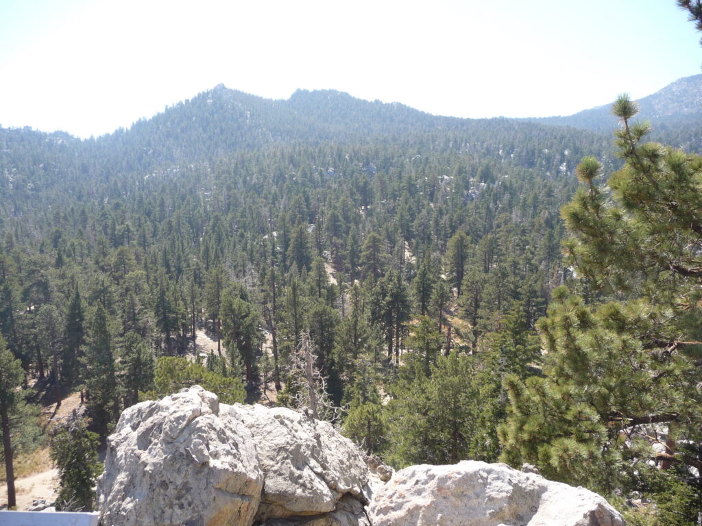 Palm Springs Aerial Tramway gallery image 4