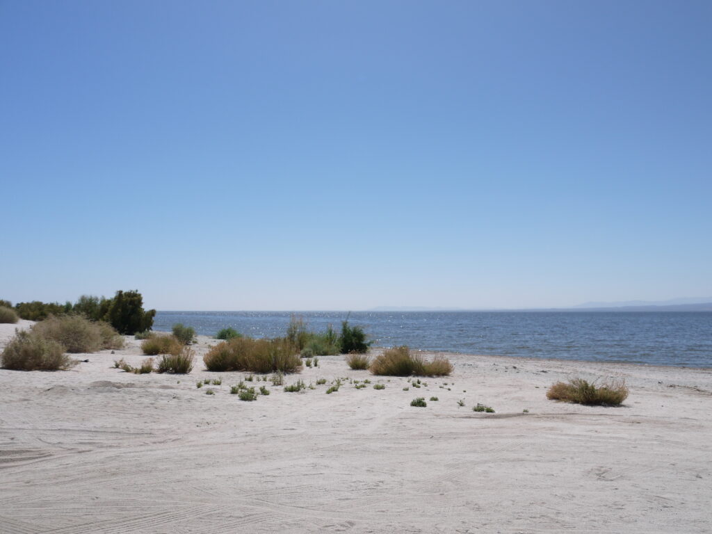 Salton Sea gallery image 6