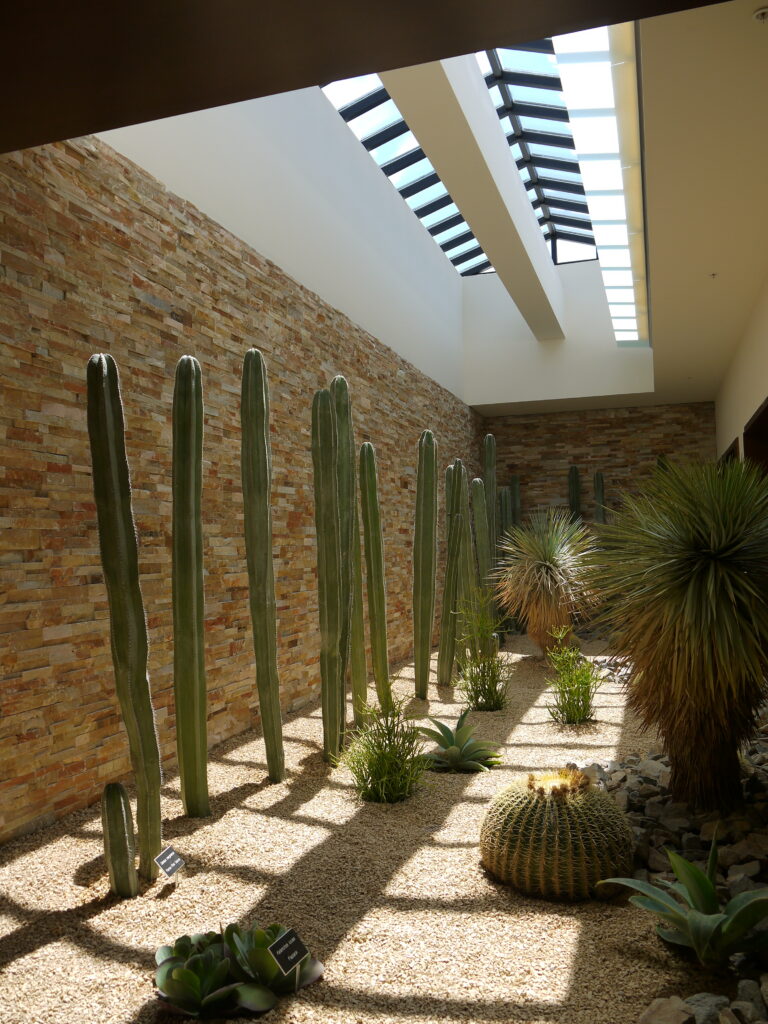 The Ritz-Carlton, Rancho Mirage gallery image 18