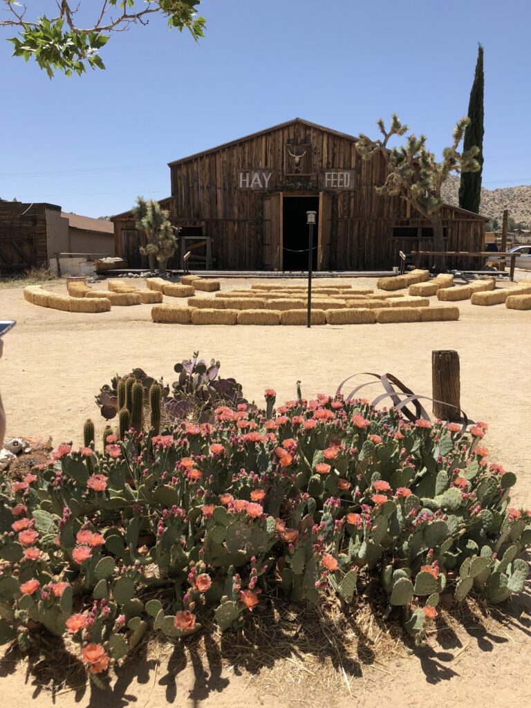 Pioneertown gallery image 3