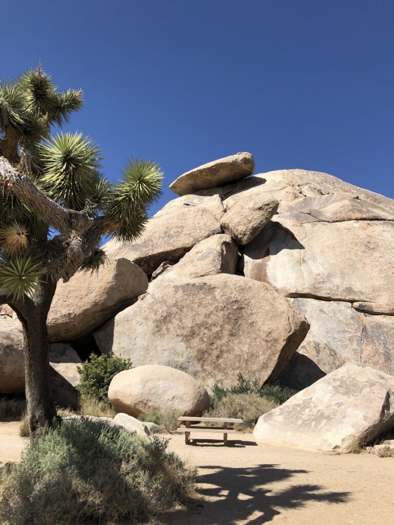 Joshua Tree National Park gallery image 9