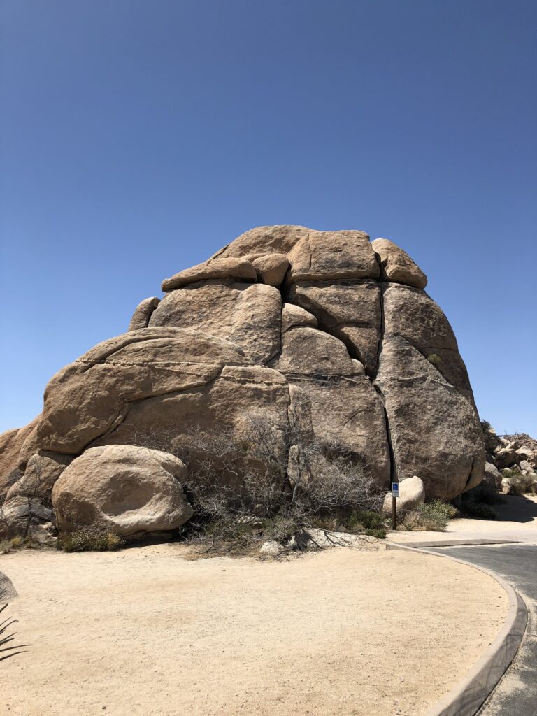 Joshua Tree National Park gallery image 7
