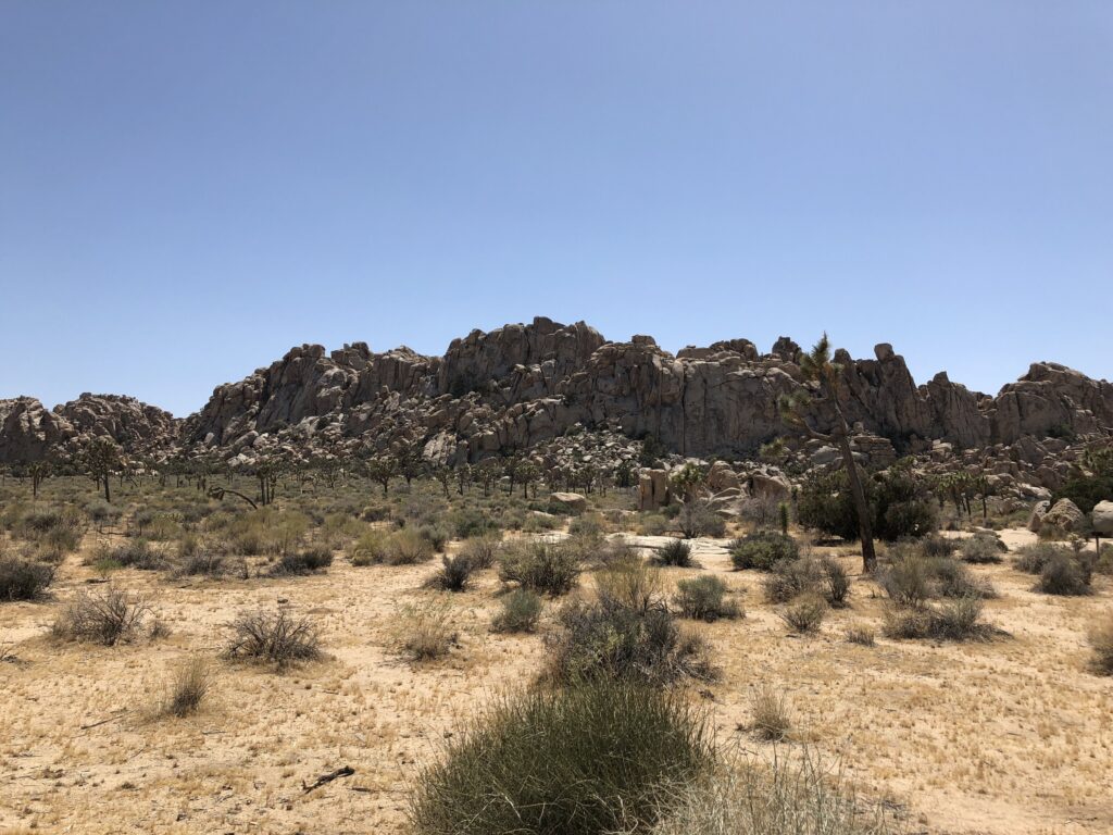 Joshua Tree National Park gallery image 5