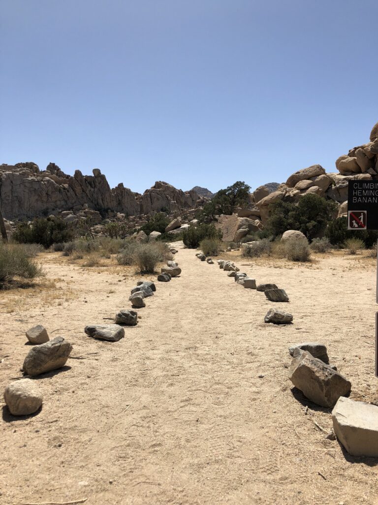 Joshua Tree National Park gallery image 3