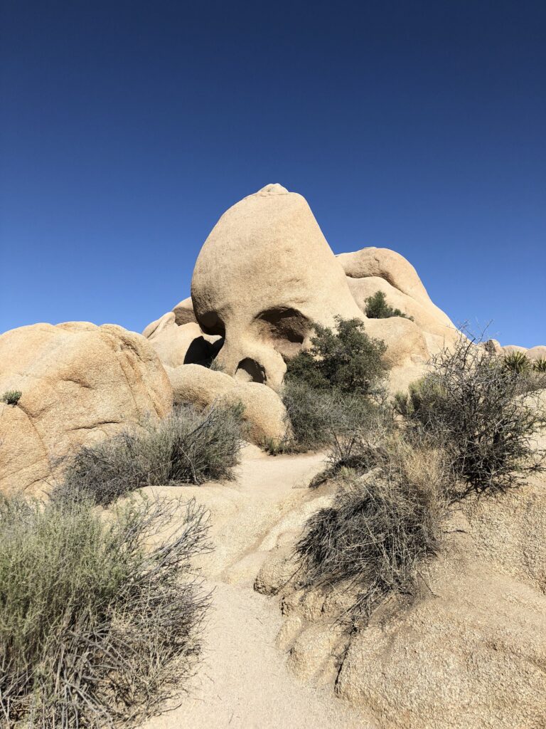 Joshua Tree National Park gallery image 1