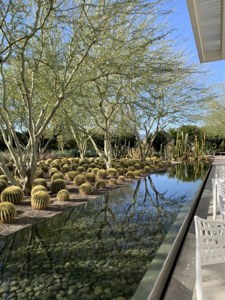 Sunnylands Café gallery image 3
