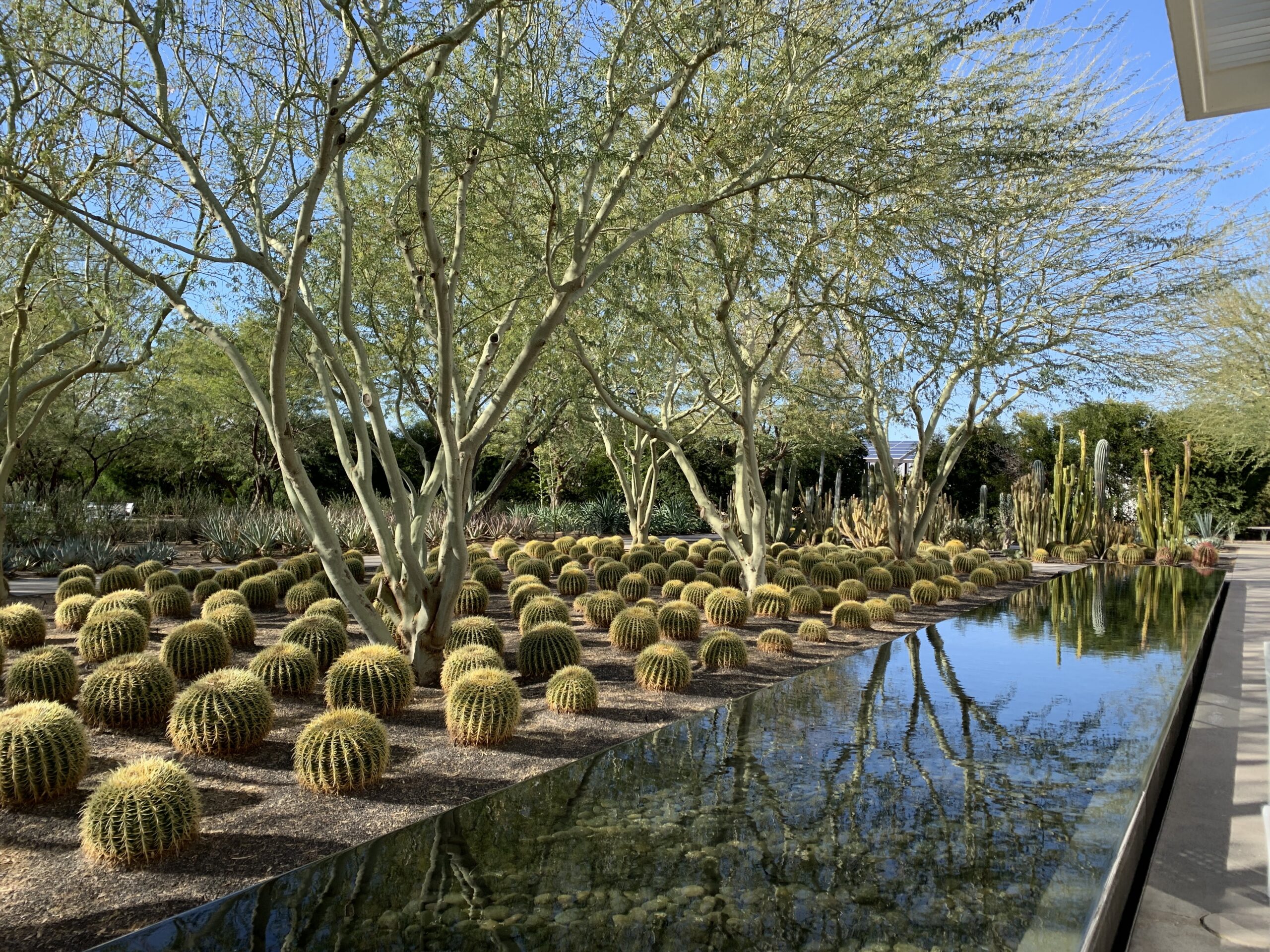 Sunnylands Café gallery image 1