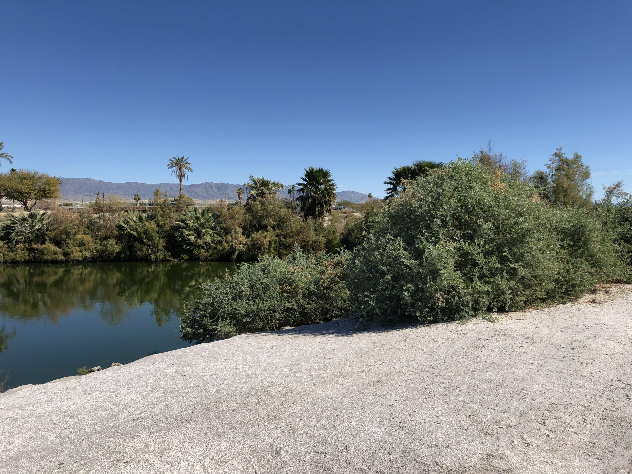 Salton Sea gallery image 1
