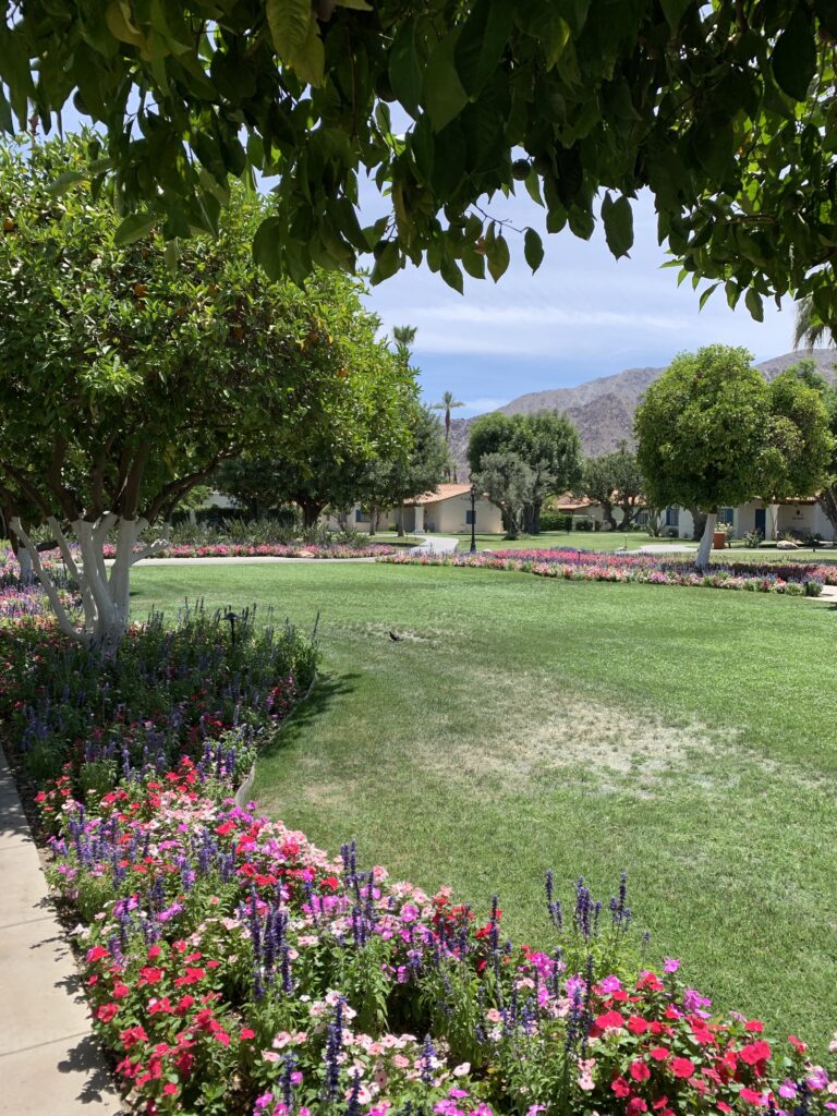 La Quinta Resort & Club gallery image 14