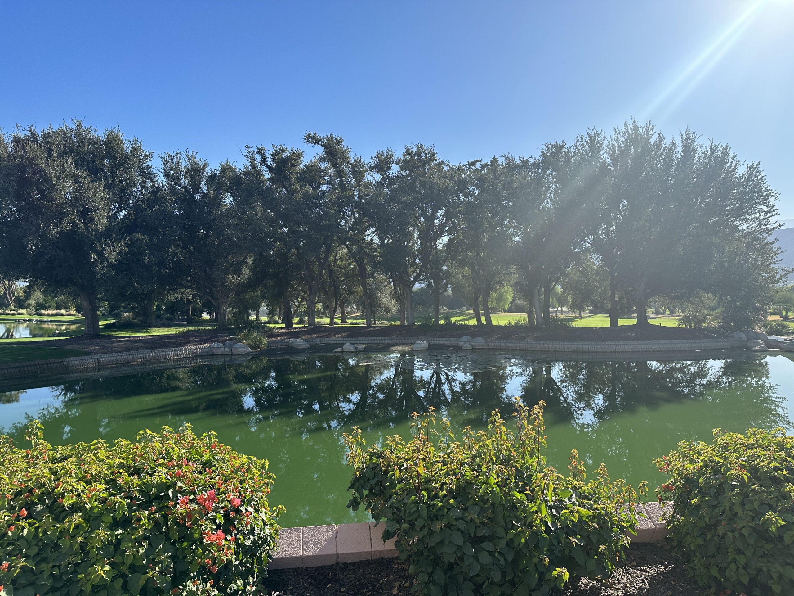 Sunnylands Estate gallery image 10