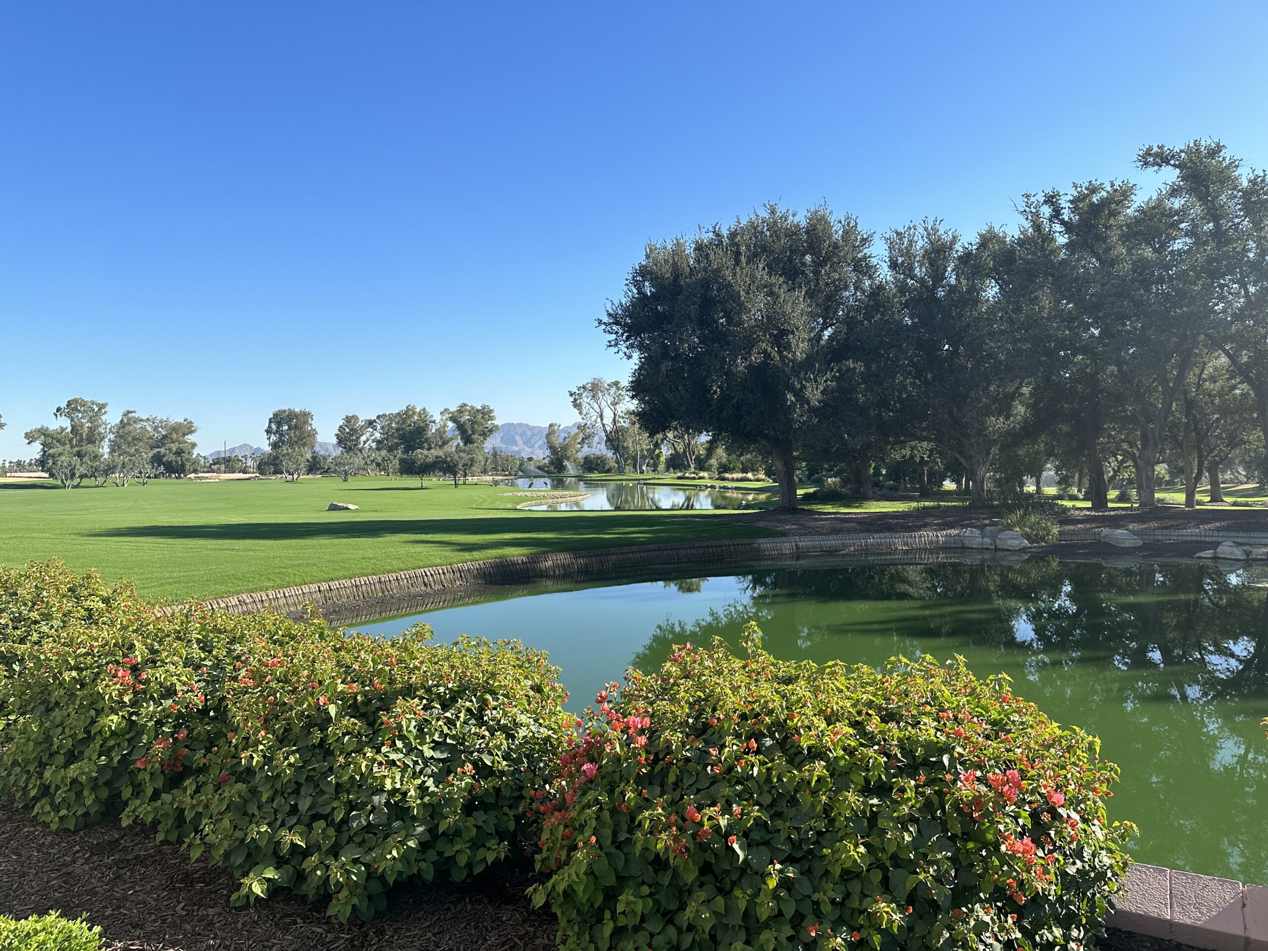 Sunnylands Estate gallery image 9