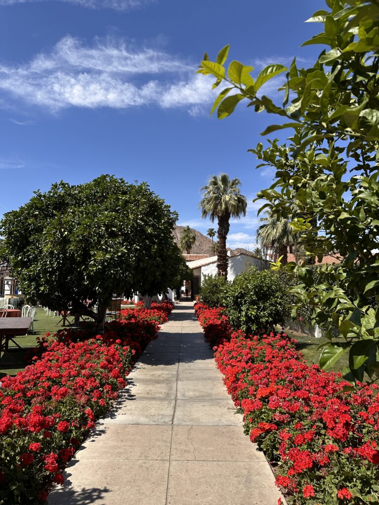 La Quinta Resort & Club gallery image 5