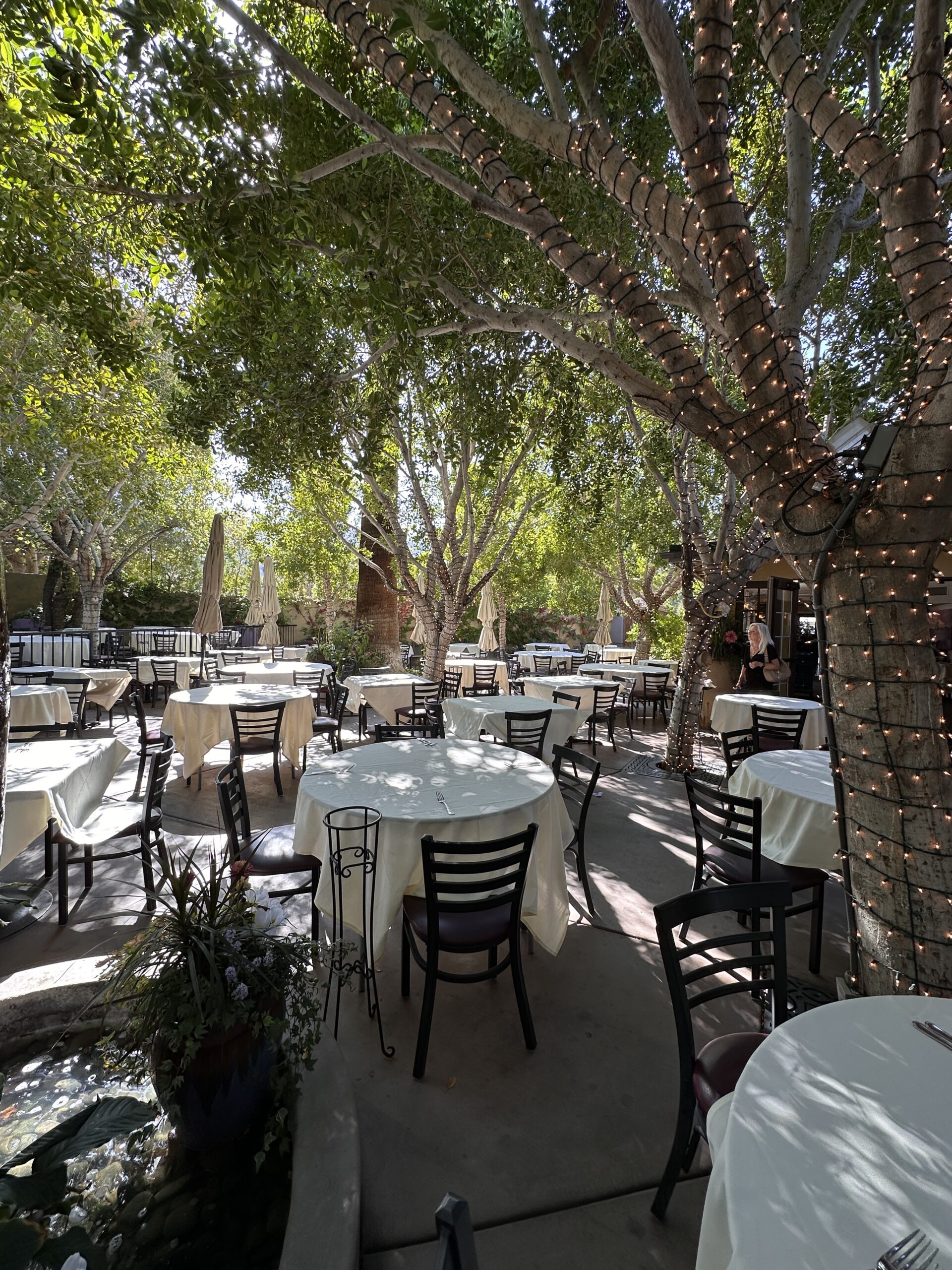 Lavender Bistro