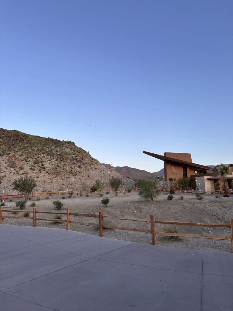 The Living Desert Zoo And Gardens gallery image 22