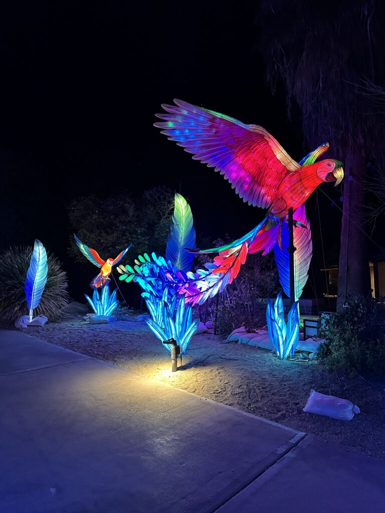 The Living Desert Zoo And Gardens gallery image 16