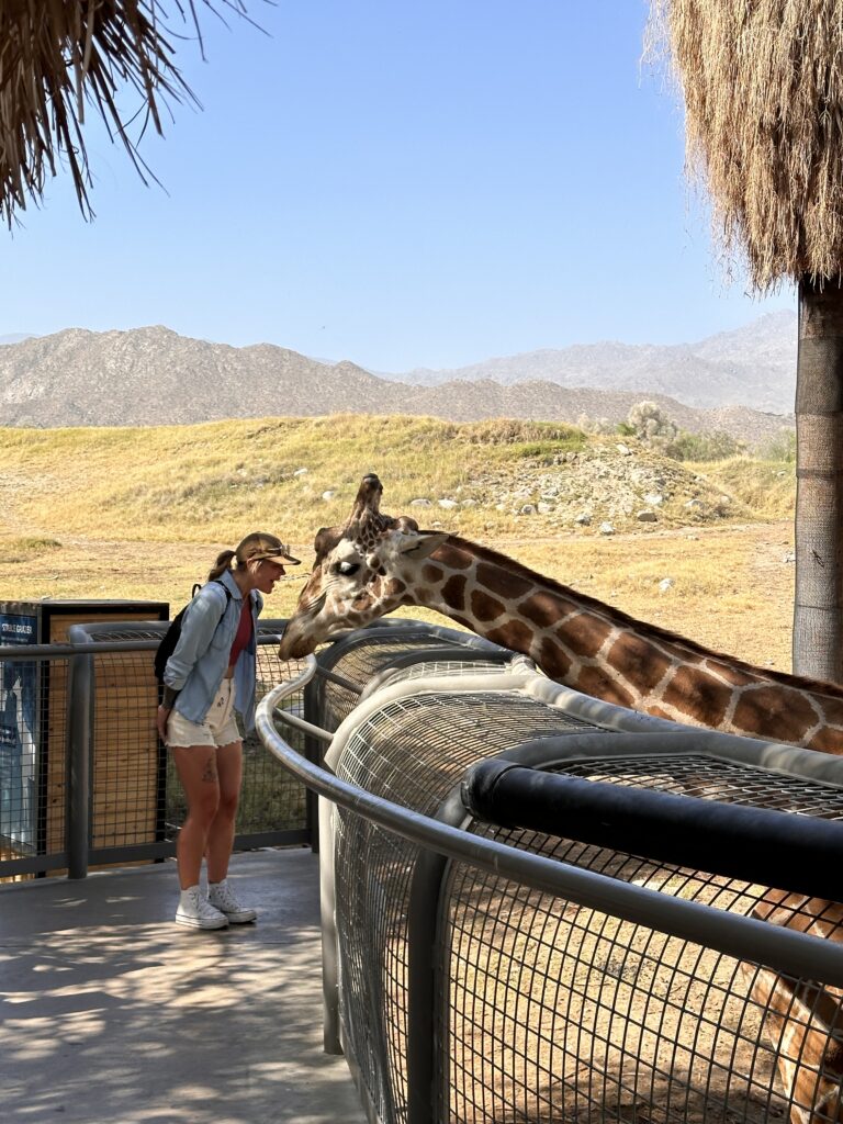 The Living Desert Zoo And Gardens gallery image 12