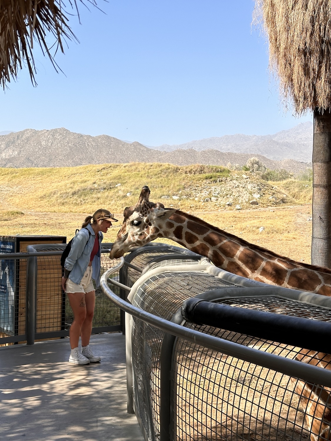 Attractions