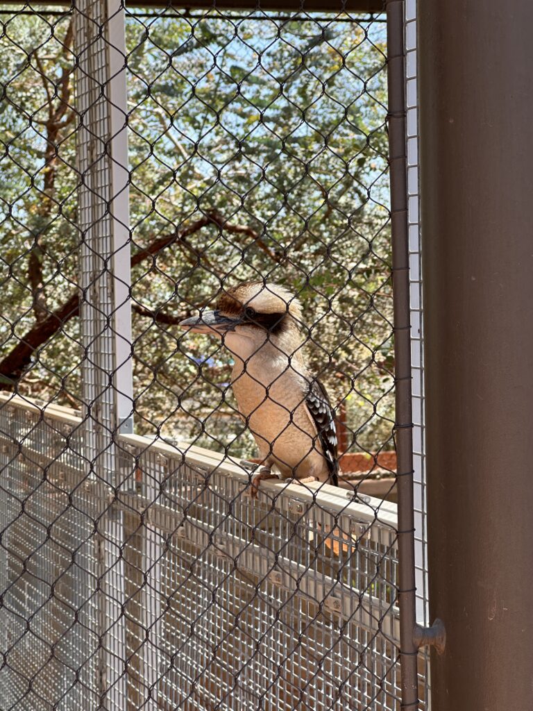 The Living Desert Zoo And Gardens gallery image 5