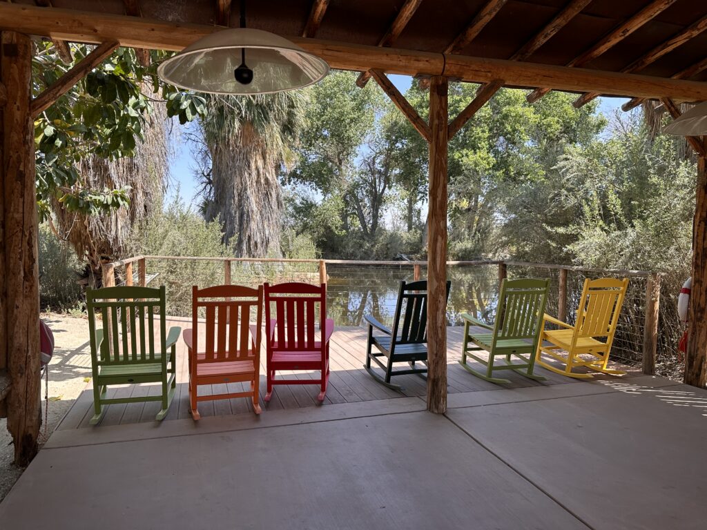 The Living Desert Zoo And Gardens gallery image 2