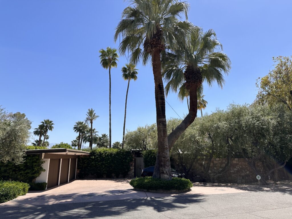 Kirk Douglas House gallery image 2