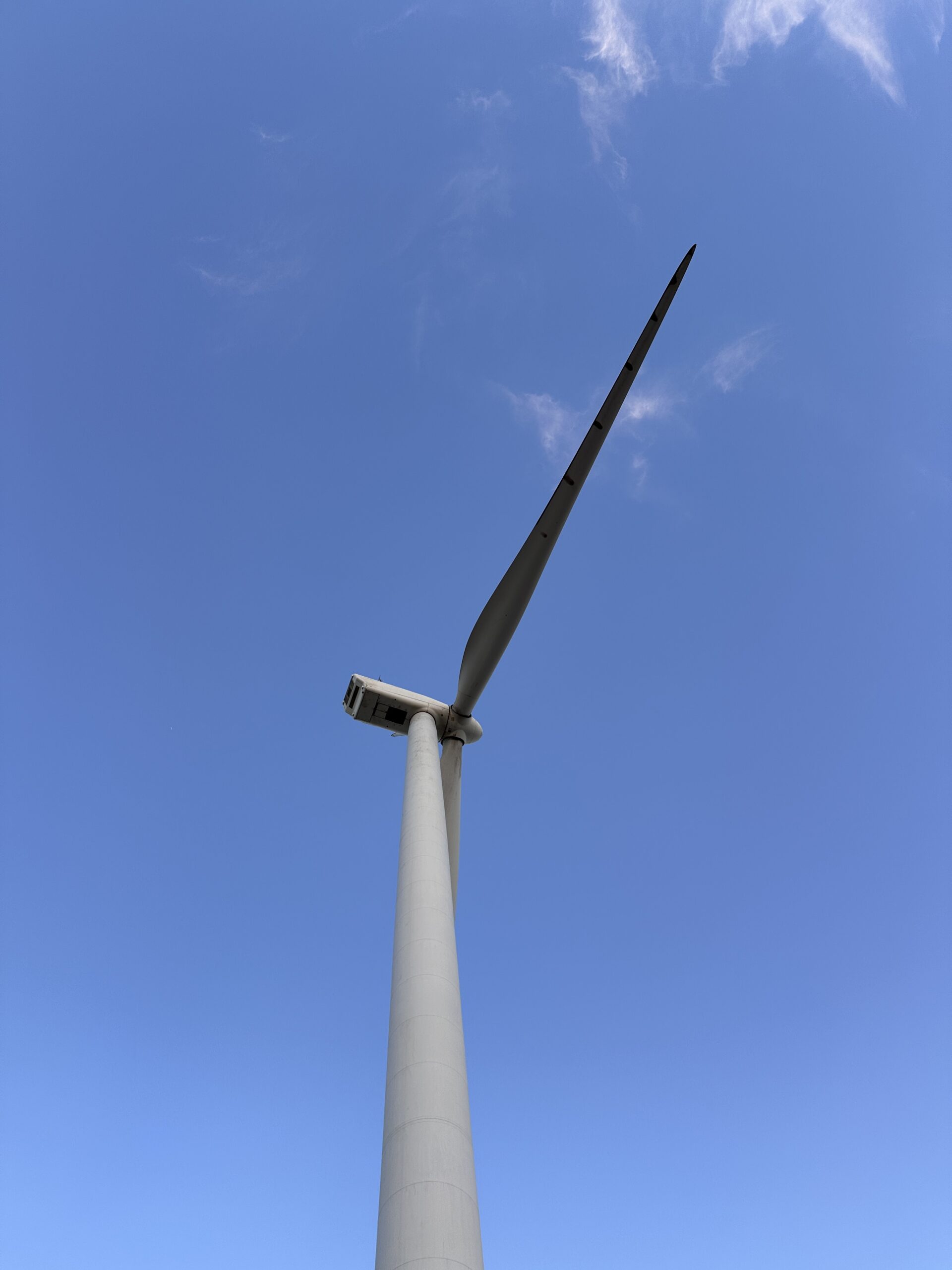 Palm Springs Windmill Tours