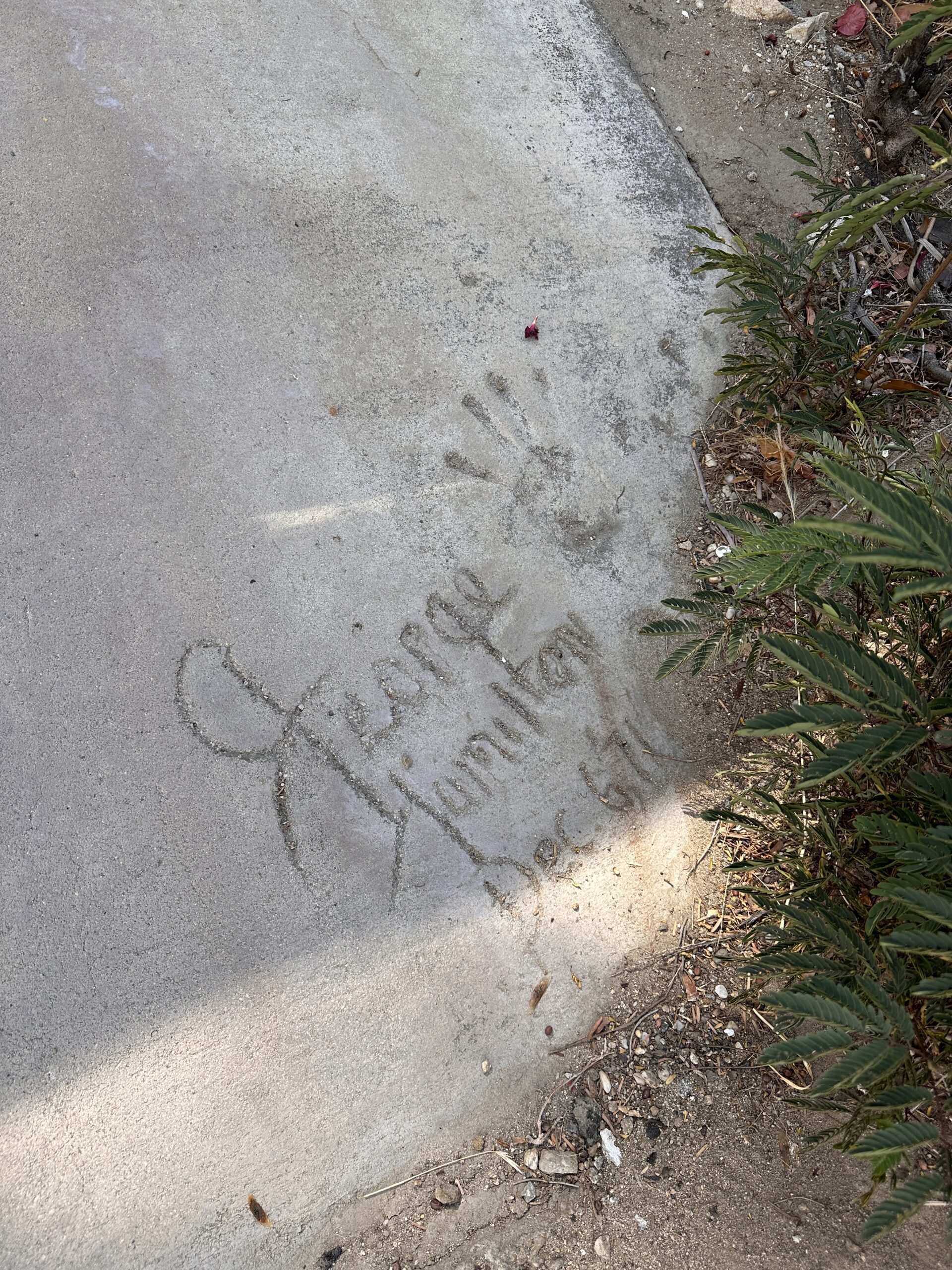 George Hamilton House gallery image 1
