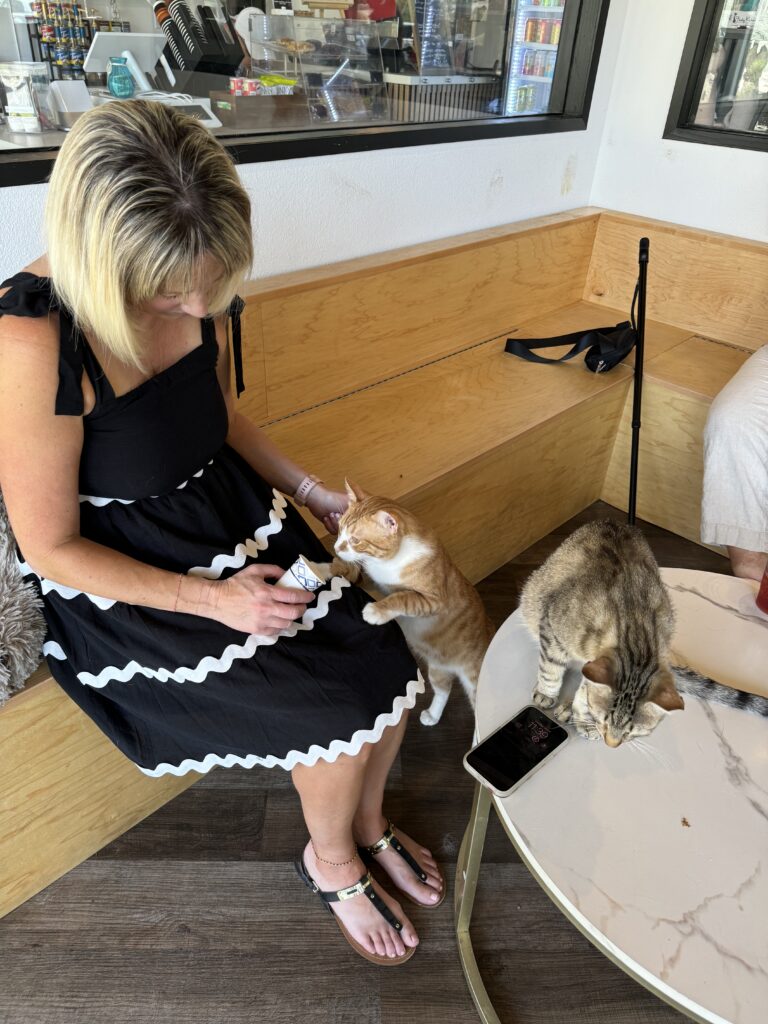 Frisky Business Cat Cafe gallery image 8