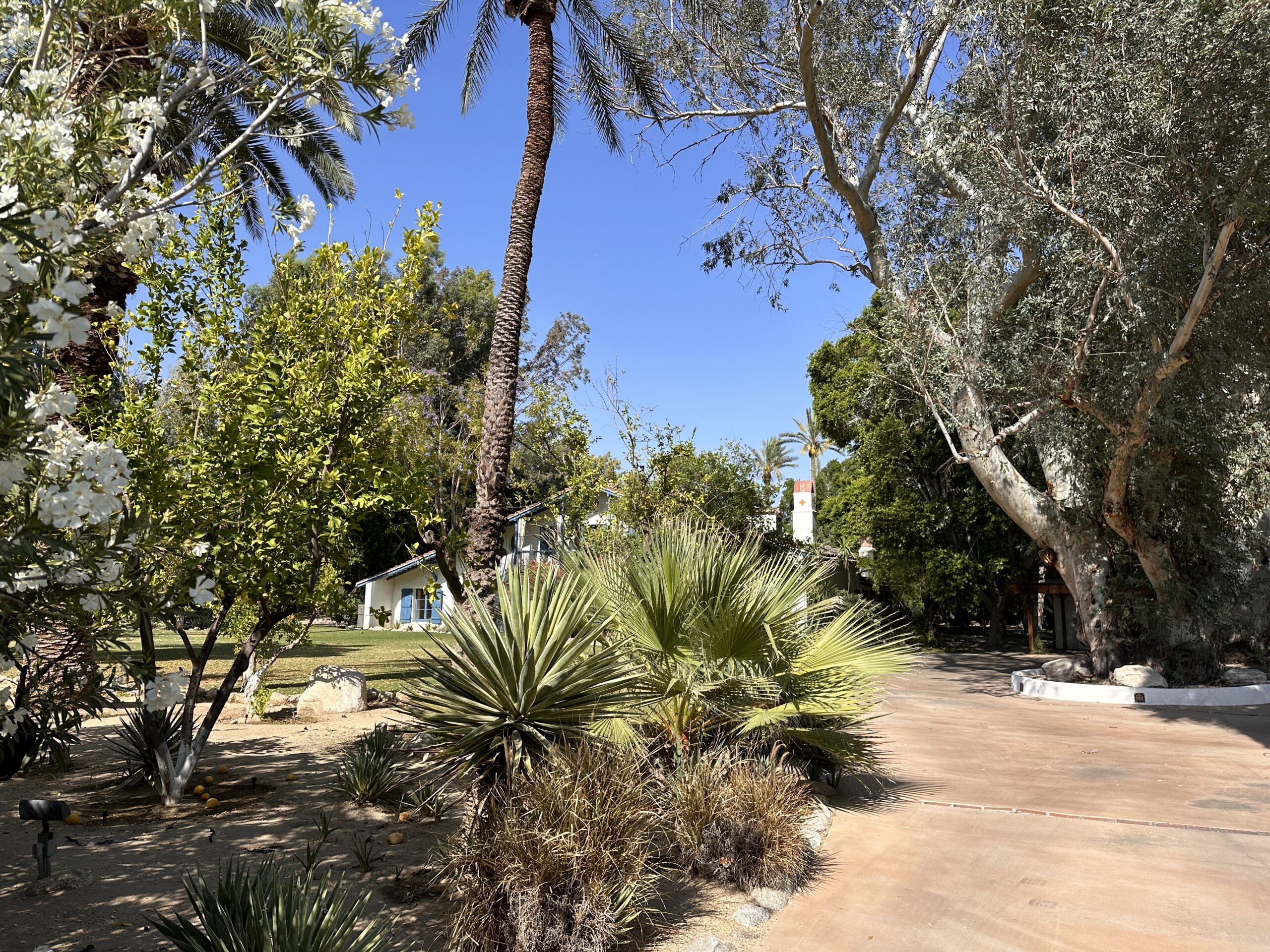 Cary Grant Estate gallery image 2