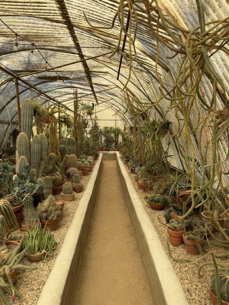 Moorten Botanical Garden gallery image 2