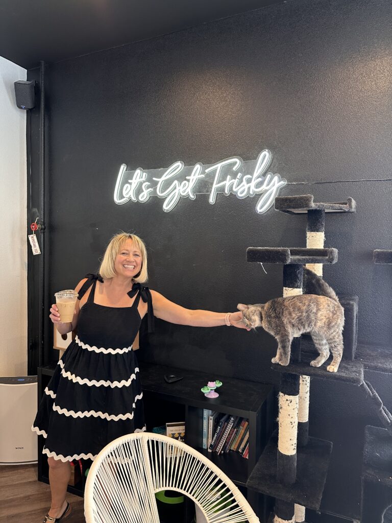 Frisky Business Cat Cafe gallery image 4