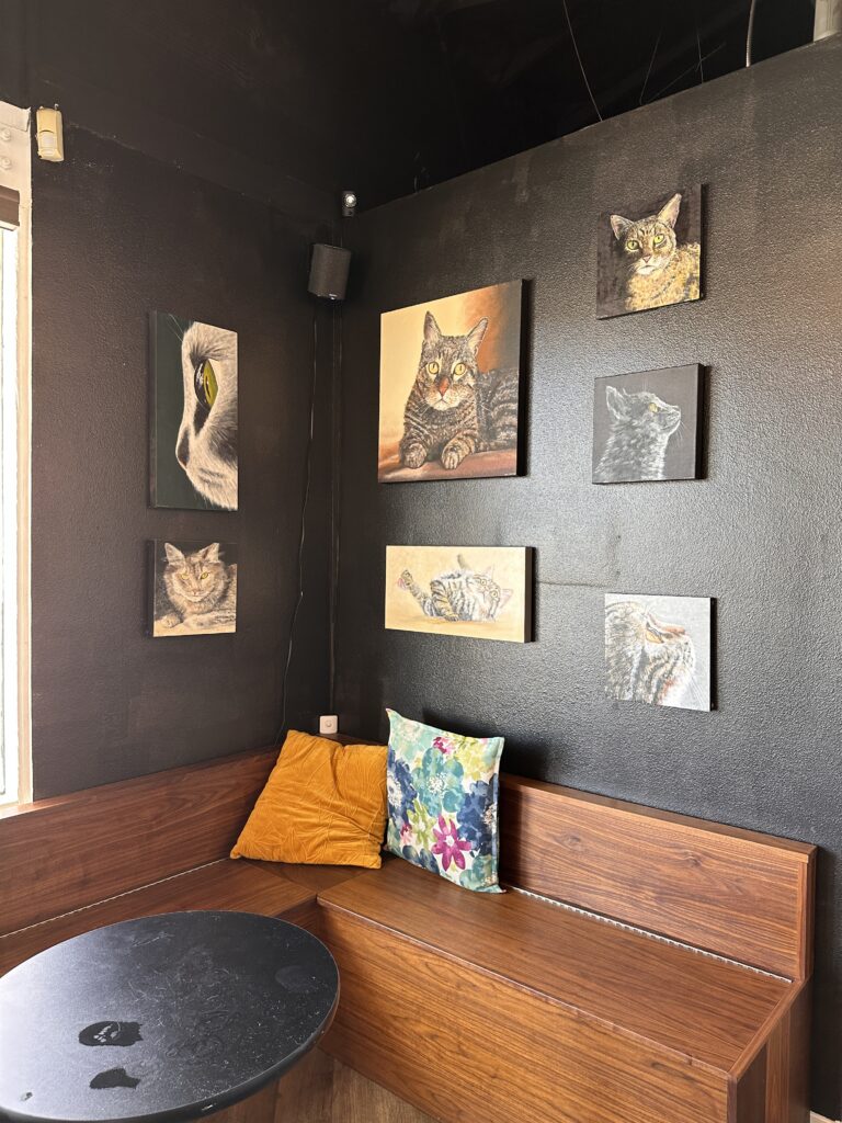 Frisky Business Cat Cafe gallery image 2
