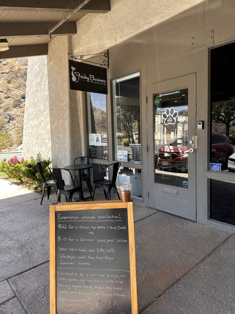 Frisky Business Cat Cafe gallery image 1