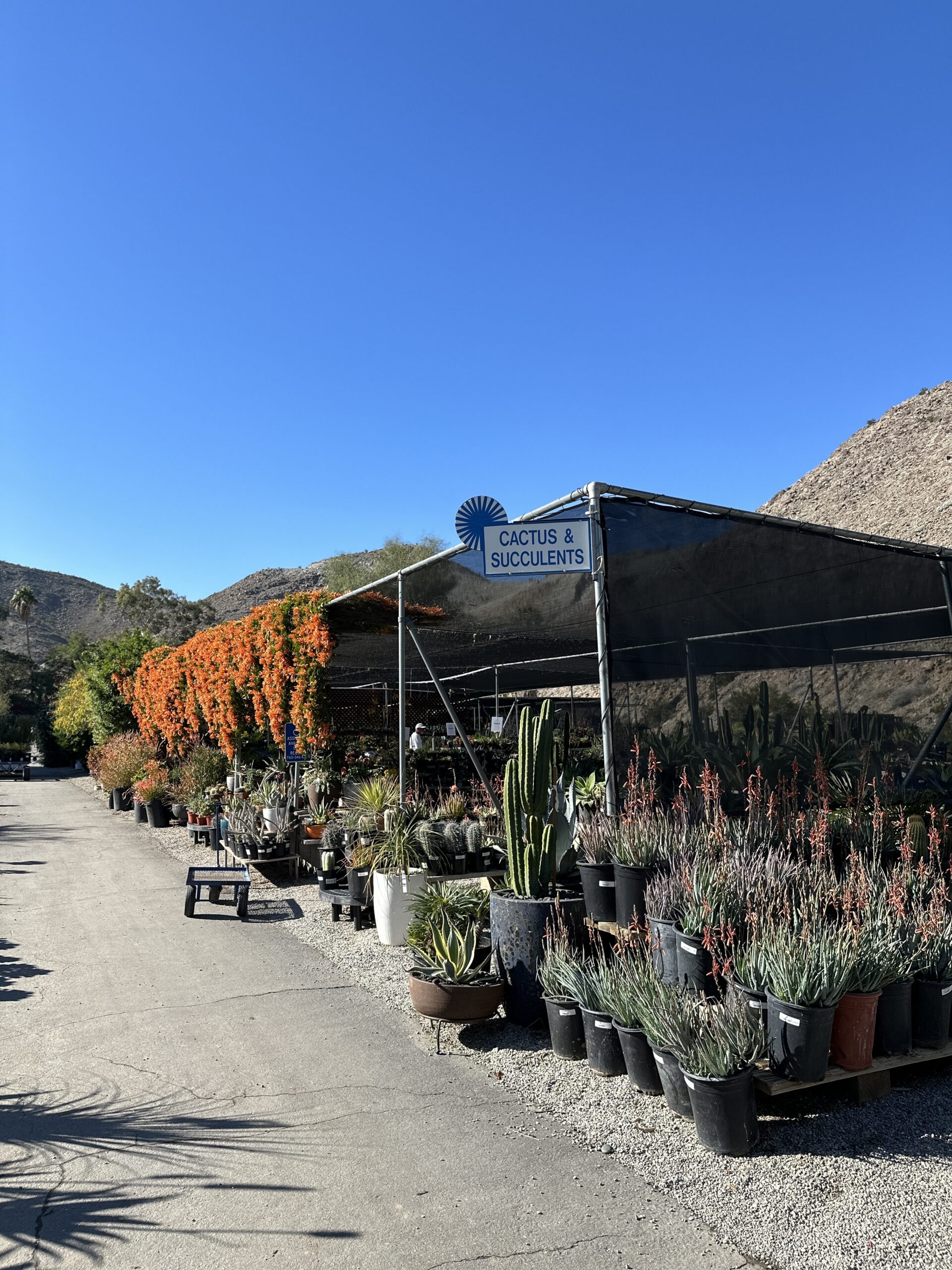 Moller’s Garden Center gallery image 7