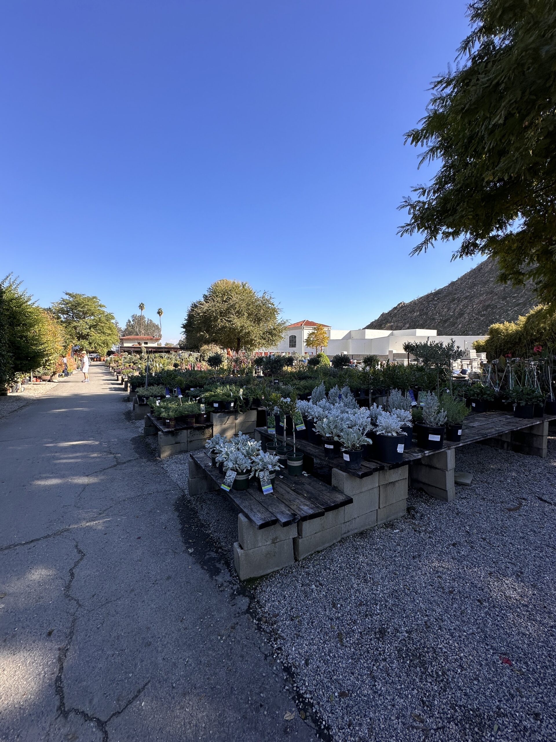 Moller’s Garden Center gallery image 6