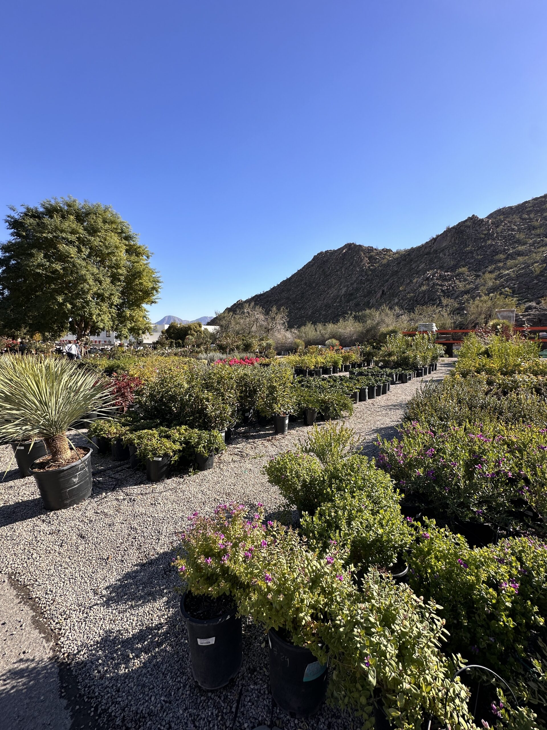 Moller’s Garden Center gallery image 5
