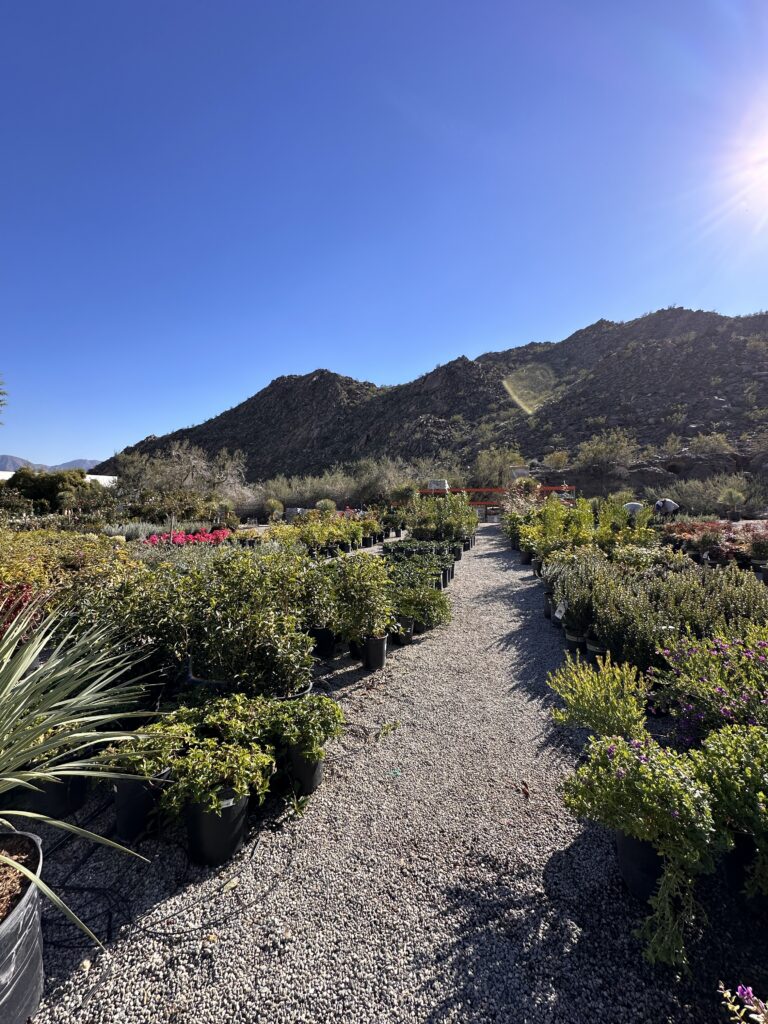 Moller’s Garden Center gallery image 4