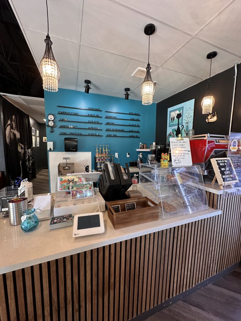 Frisky Business Cat Cafe gallery image 12
