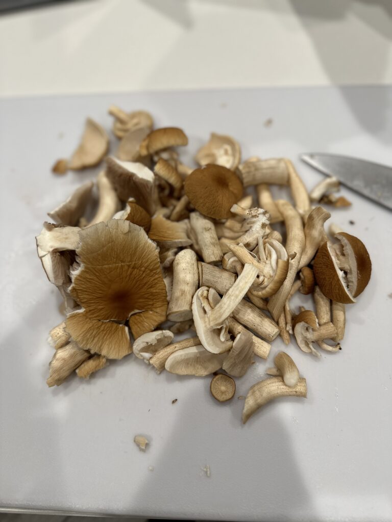 Canyon Creek Mushrooms gallery image 10