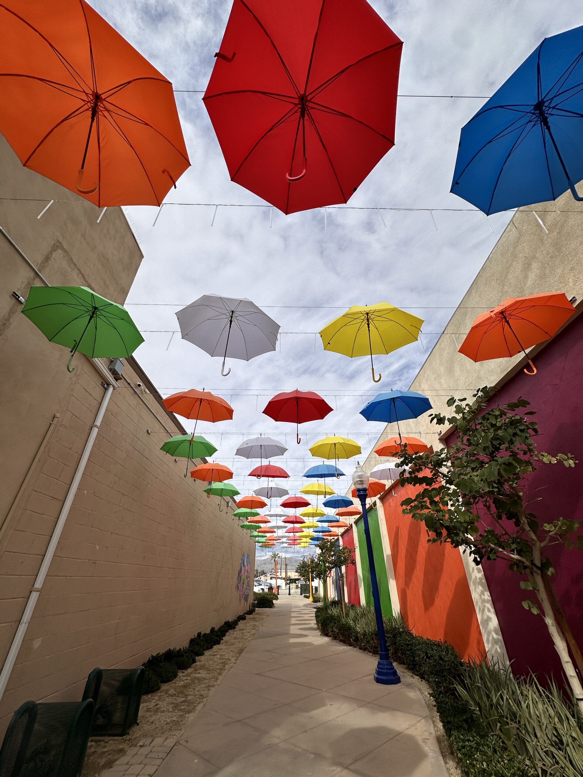 “Happy Alley”