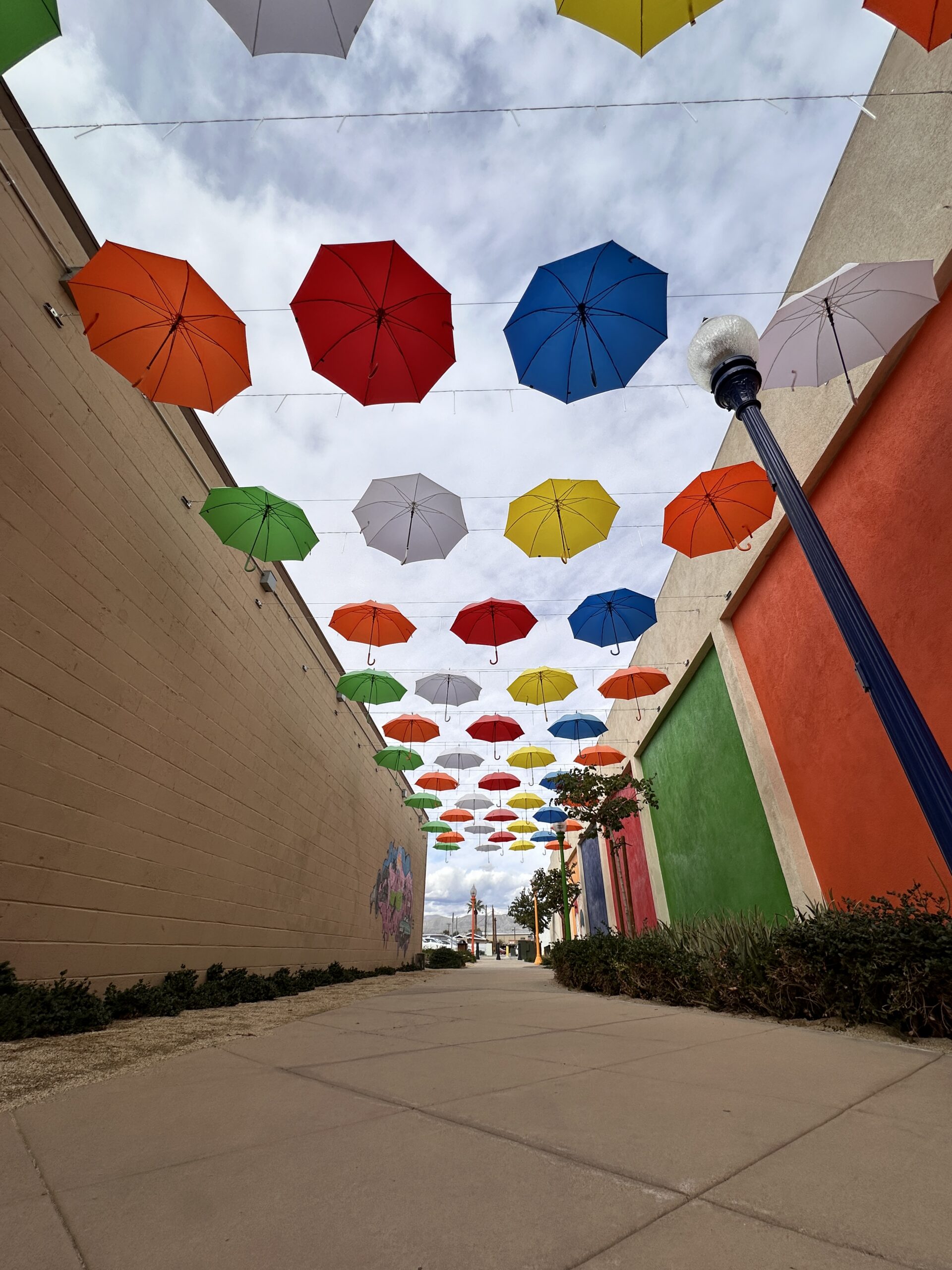 “Happy Alley” gallery image 1