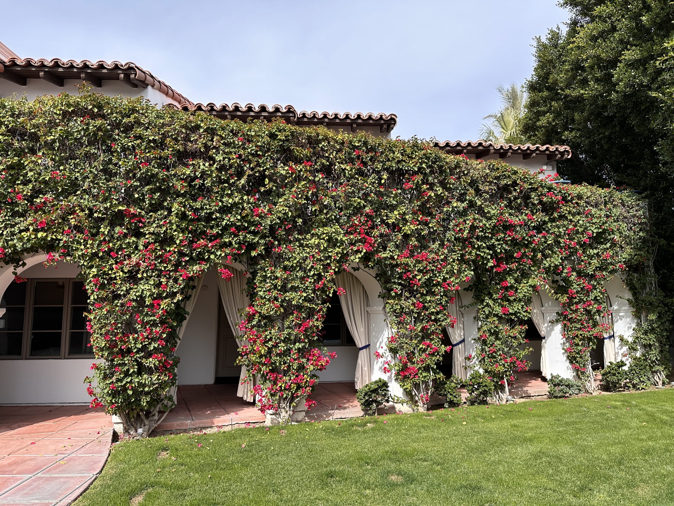 Triada Palm Springs gallery image 2
