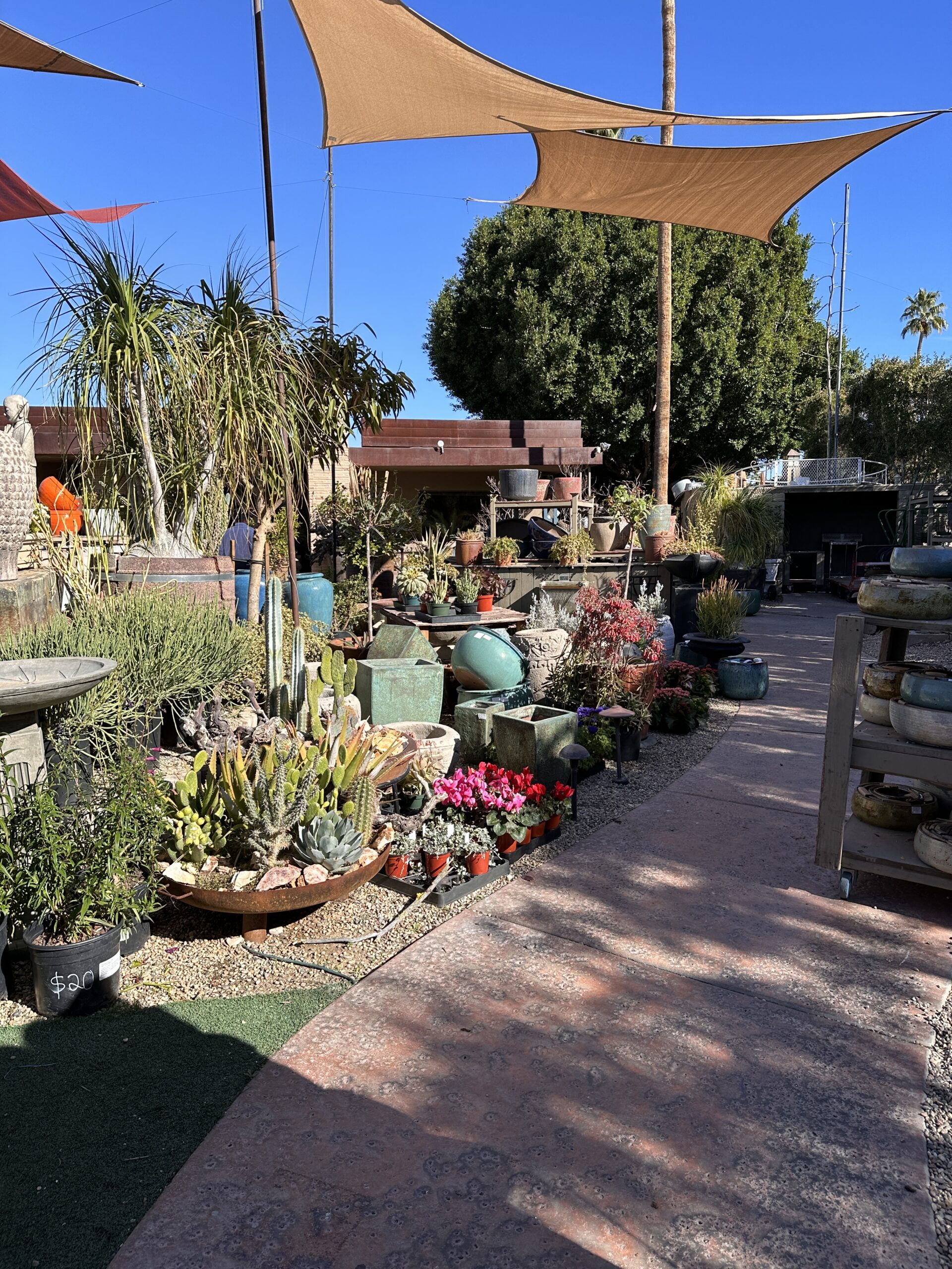 Lotus Garden Center gallery image 8