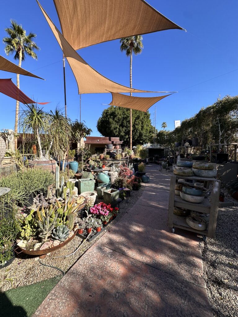 Lotus Garden Center gallery image 7