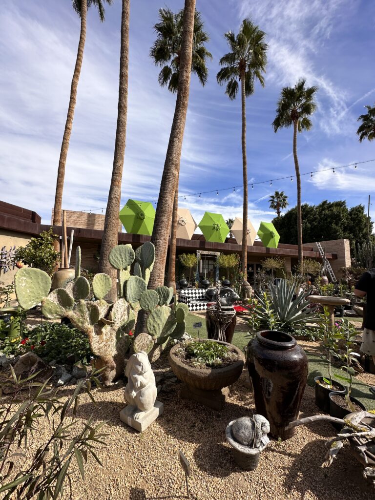 Lotus Garden Center gallery image 5