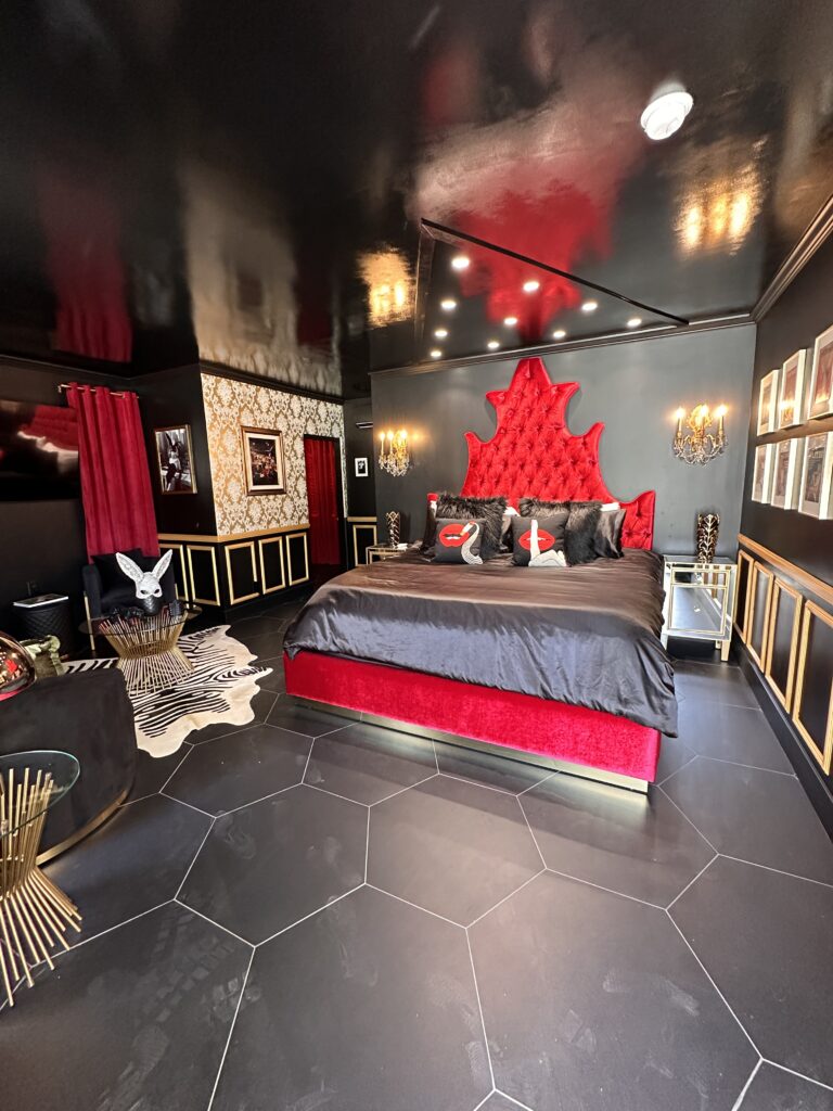 The Velvet Rope gallery image 15