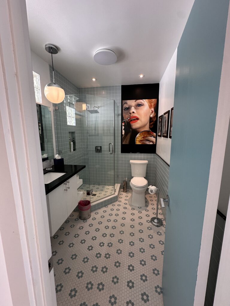 The Velvet Rope gallery image 3