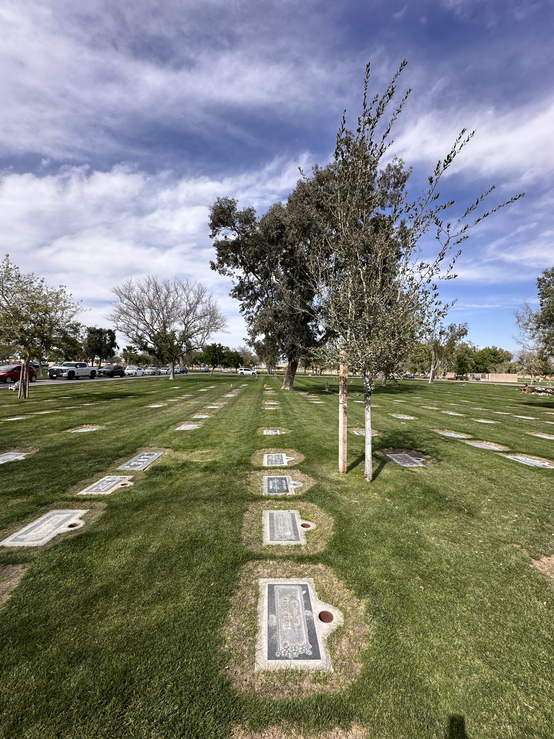 Desert Memorial Park gallery image 1