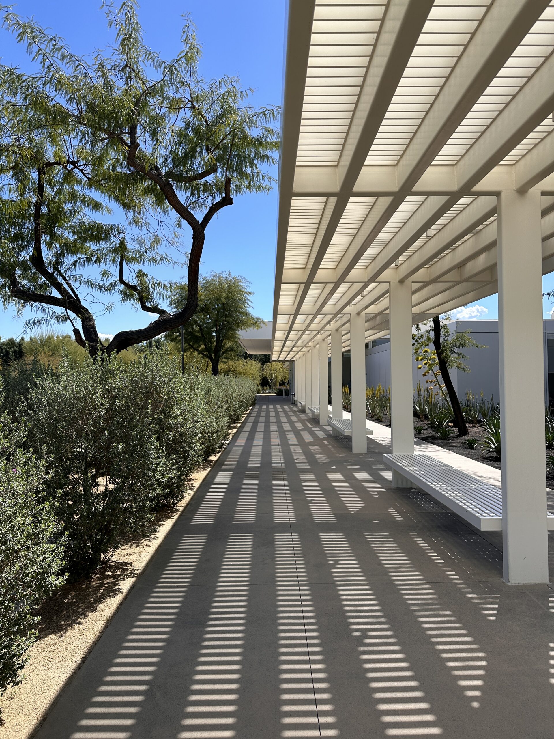 Sunnylands Center &amp; Gardens gallery image 7