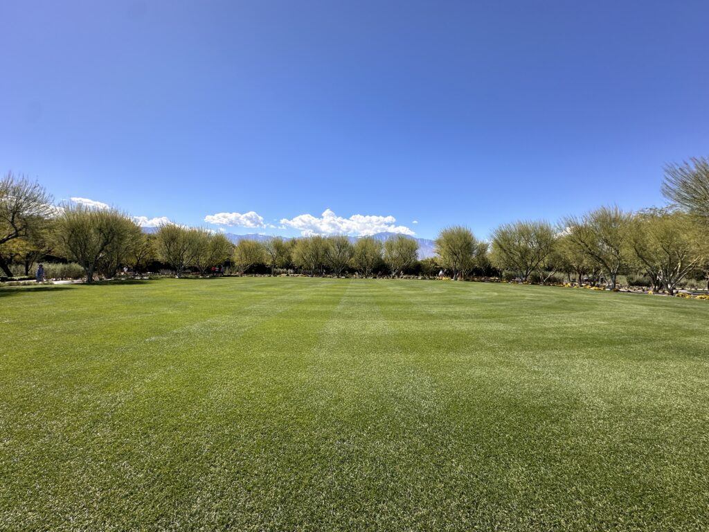 Sunnylands Center &amp; Gardens gallery image 5
